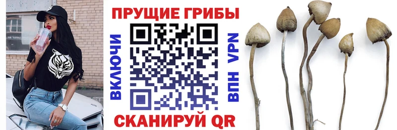 цены   Нижний Ломов  Галлюциногенные грибы мухоморы 